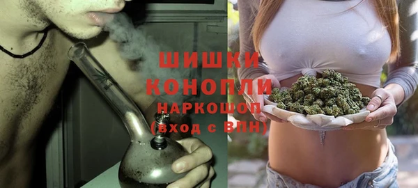 крисы Богородицк