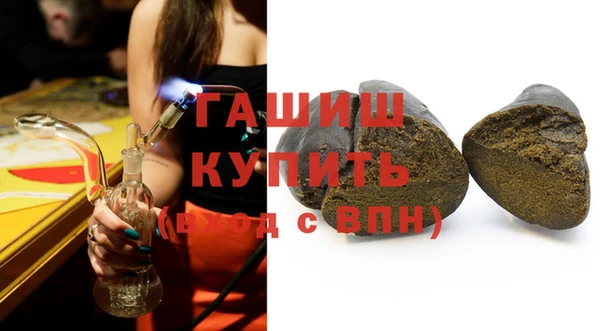 крисы Богородицк