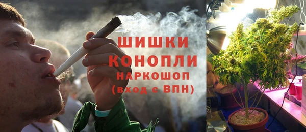 дурь Белокуриха