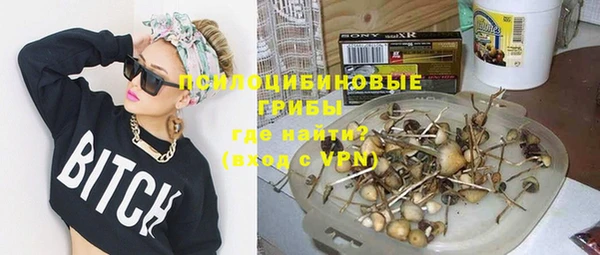 дурь Белокуриха