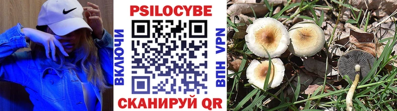 Псилоцибиновые грибы прущие грибы  Купить где  Алексеевка 
